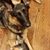 Michelle Berkowitz's profile image