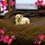 Karla Lovachy's profile image
