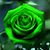 Laura L.'s profile image