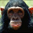old tennis bum's profile image