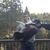 Kevin Peters's profile image