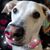 Esther Giammarinaro Veronesi's profile image