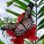 Ezraella Bassera's profile image