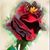 Sonia Goldsmith's profile image