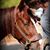 Kerinne Edgar's profile image