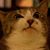 KG Price's profile image