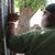 Kevin Colbert's profile image