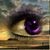 Brenna Tanner's profile image