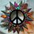 Wendy Davis's profile image