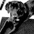Tammey Brown's profile image