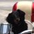 Kathleen Perry's profile image