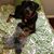 Brenda Perkins's profile image