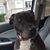 Lois Heller's profile image