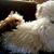 Robyn Wilcox Brilla's profile image