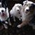 Kimberlee Herbst's profile image