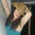 Amanda Phillips's profile image