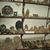 Moroccan Sahara Meteorites's profile image