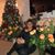 Anahit Nikoghosyan's profile image