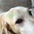 Karen Markwell's profile image