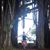 Rabbitt Miyashiro's profile image