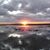 Patti Whipple's profile image