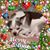 Irene Sochacki's profile image