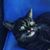 Krystel Larranaga's profile image