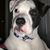 Bob Sissel's profile image