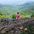 Diana Lynn Novakovic's profile image