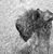 Lindy Troia Hickey's profile image