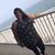 Stephanie Duke's profile image