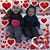 Mary Pat Kelly's profile image