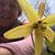 Heather Pollard Leighton's profile image
