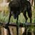 Shannon Wilson-witt's profile image