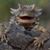 Michael Jones's profile image