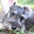 Topo Martinez's profile image