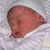Sheila Moore Roth's profile image