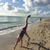 Heather Sipes Roe's profile image