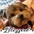 Shaylene Boone Adams's profile image
