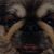 Joe E. Miller's profile image