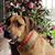 Nhan Van Le's profile image