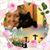 Peggy Weast's profile image