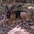 Kimberly Stasiak Towers's profile image