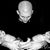 Skeeter Stone's profile image