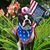 Julia Callahan's profile image