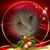 Jenn Smith's profile image