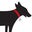 red collar photography's profile image