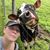 Kim Brown-Bodamer's profile image