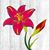 Monica Lee's profile image