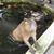 Yvonne Orbeck's profile image